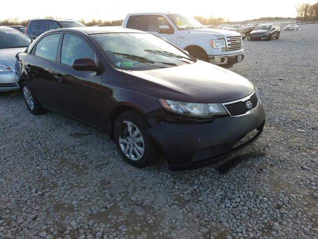 KIA FORTE EX 2011 knafu4a29b5464980