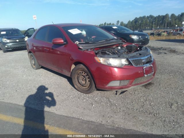 KIA FORTE 2011 knafu4a29b5887400