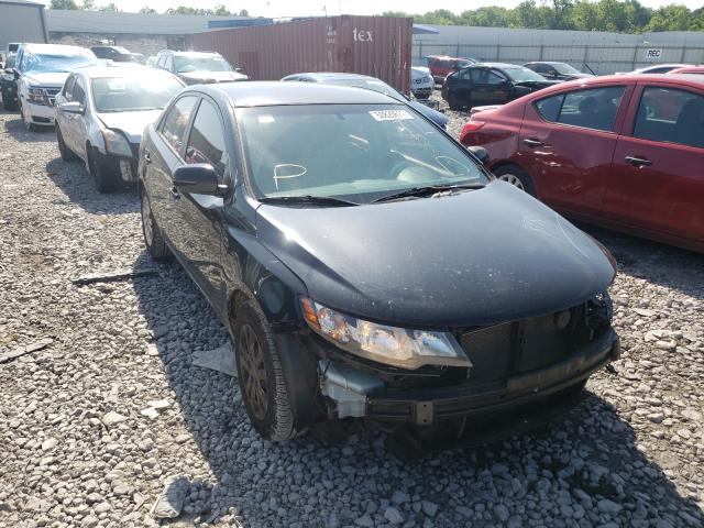 KIA FORTE EX 2011 knafu4a29b5888529