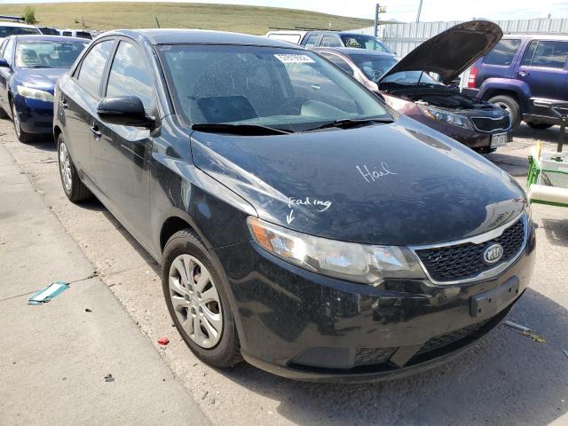 KIA FORTE EX 2012 knafu4a29c5472885