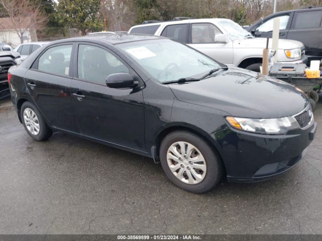 KIA FORTE 2012 knafu4a29c5476743