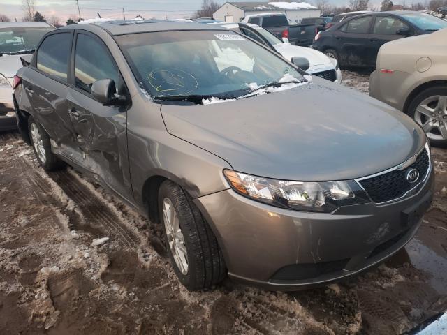 KIA FORTE EX 2012 knafu4a29c5482624