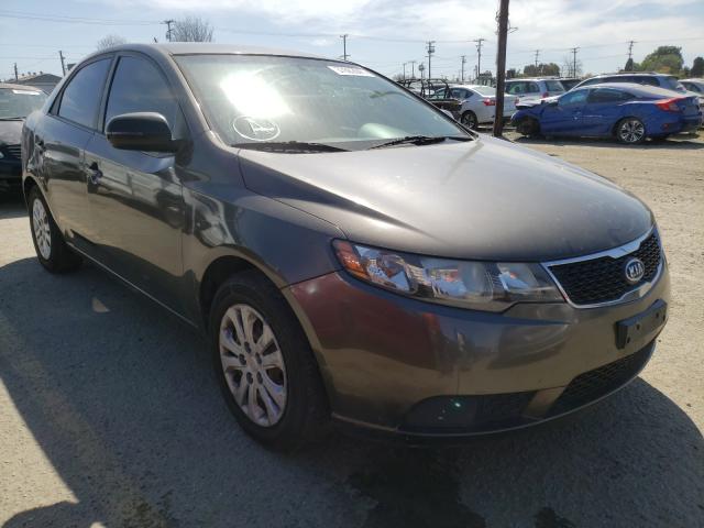 KIA FORTE EX 2012 knafu4a29c5486575