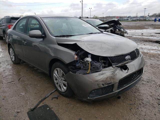 KIA FORTE EX 2012 knafu4a29c5491064