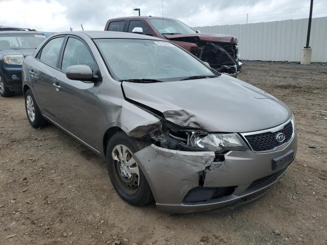 KIA FORTE EX 2012 knafu4a29c5498855