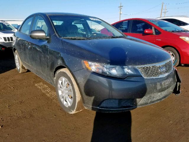 KIA FORTE EX 2012 knafu4a29c5499844