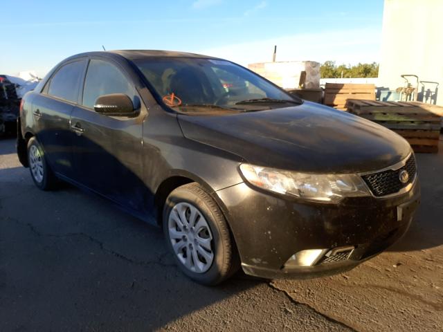 KIA FORTE EX 2012 knafu4a29c5502497