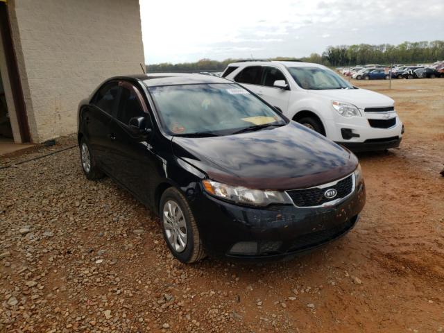 KIA FORTE EX 2012 knafu4a29c5535032