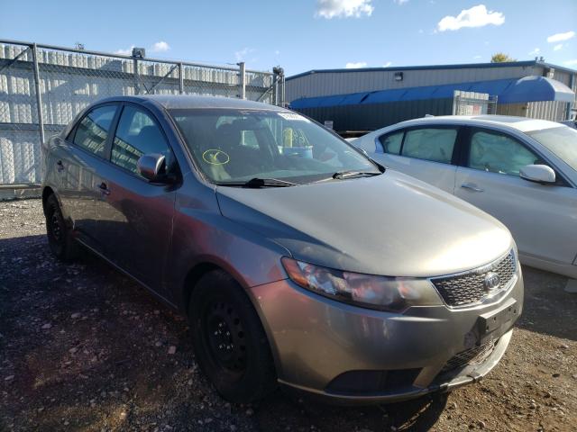 KIA FORTE EX 2012 knafu4a29c5546113