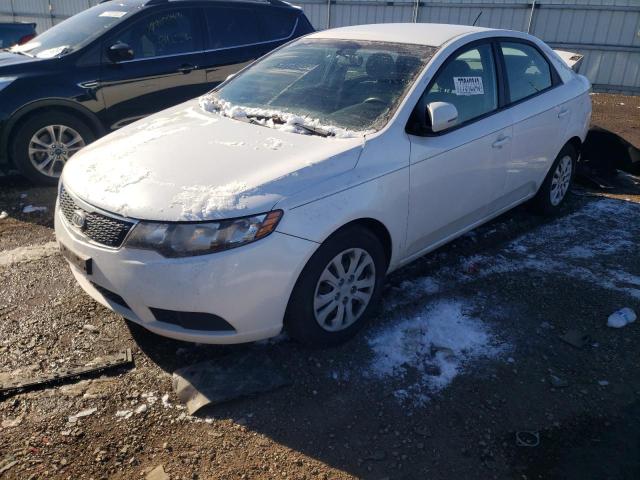 KIA FORTE 2012 knafu4a29c5555250