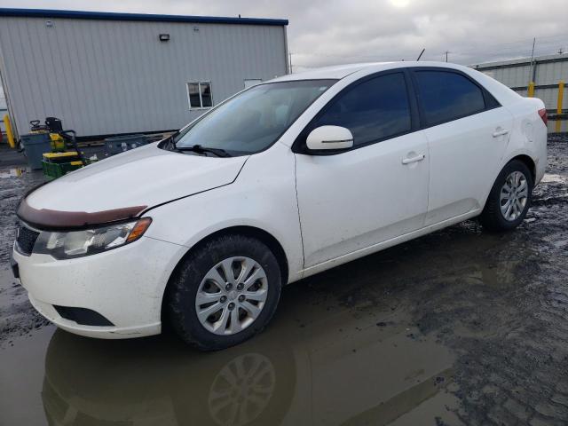 KIA FORTE 2012 knafu4a29c5557662