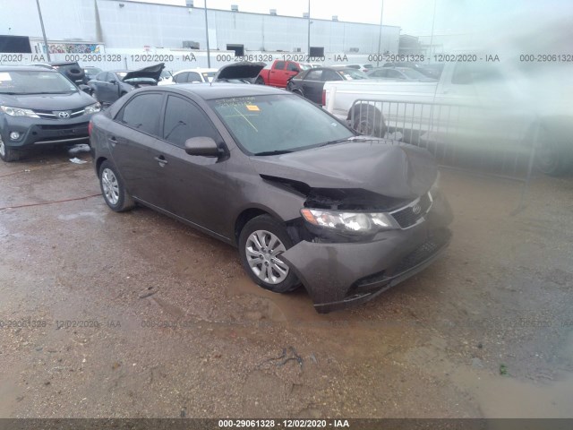 KIA FORTE 2012 knafu4a29c5565969