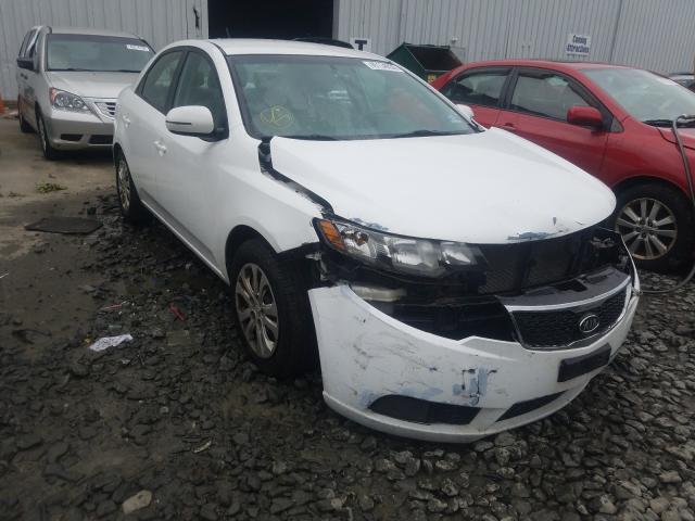 KIA FORTE EX 2012 knafu4a29c5581086