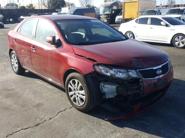 KIA FORTE EX 2012 knafu4a29c5587275