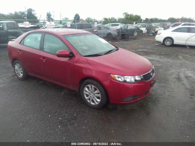 KIA FORTE 2012 knafu4a29c5587843