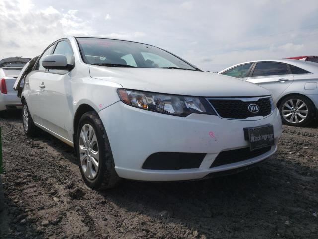 KIA FORTE EX 2012 knafu4a29c5606651