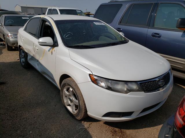 KIA FORTE EX 2013 knafu4a29d5647573