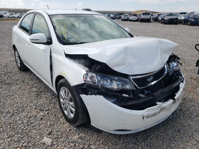 KIA FORTE EX 2013 knafu4a29d5651770