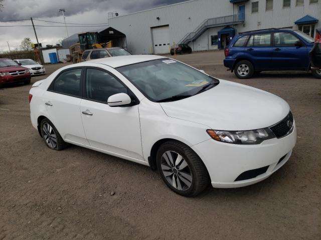 KIA FORTE EX 2013 knafu4a29d5652207