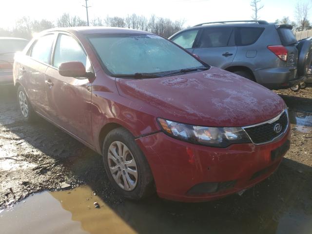 KIA FORTE EX 2013 knafu4a29d5682923