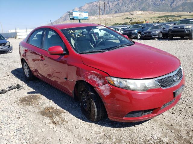 KIA FORTE EX 2013 knafu4a29d5695509