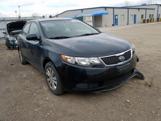 KIA FORTE EX 2013 knafu4a29d5699043