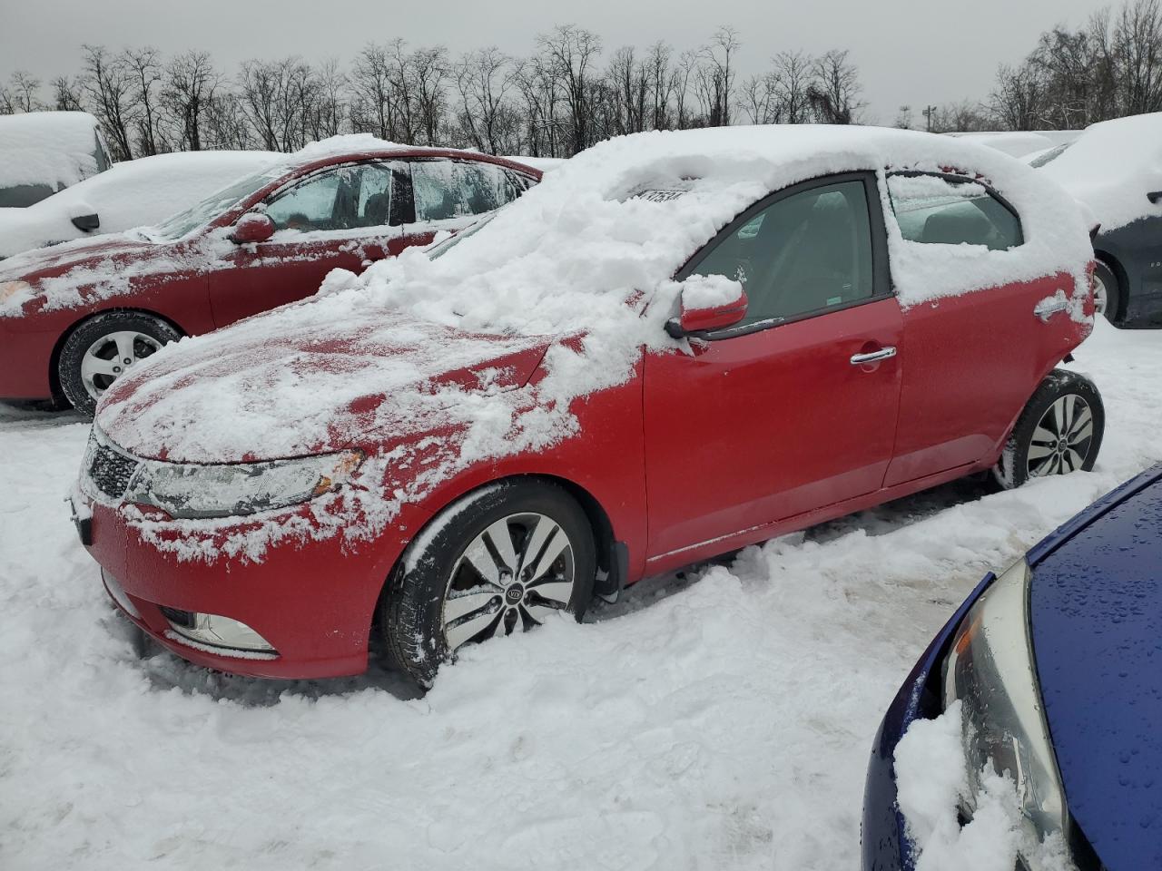 KIA FORTE 2013 knafu4a29d5699799