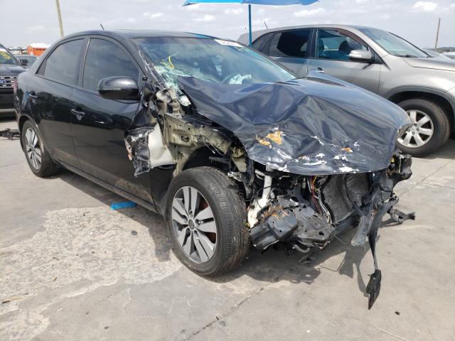 KIA FORTE EX 2013 knafu4a29d5705889