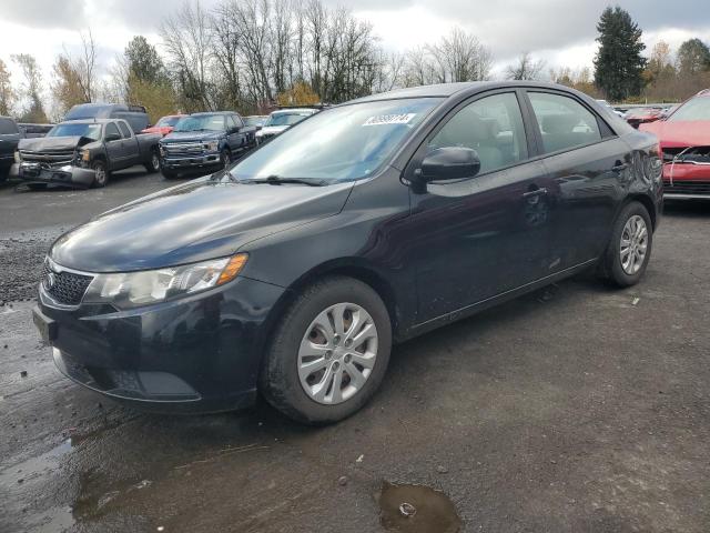 KIA FORTE EX 2013 knafu4a29d5708193