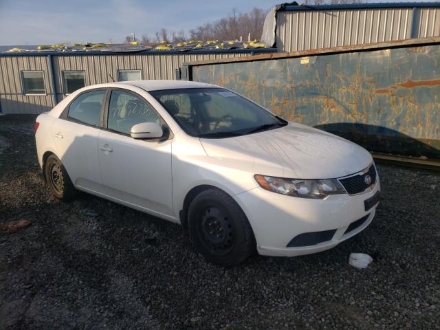 KIA FORTE EX 2013 knafu4a29d5709540