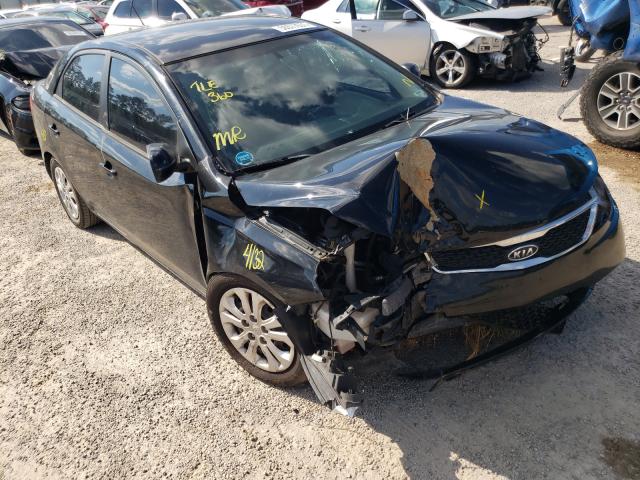 KIA FORTE EX 2013 knafu4a29d5717654