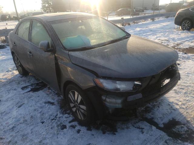 KIA FORTE EX 2013 knafu4a29d5721462