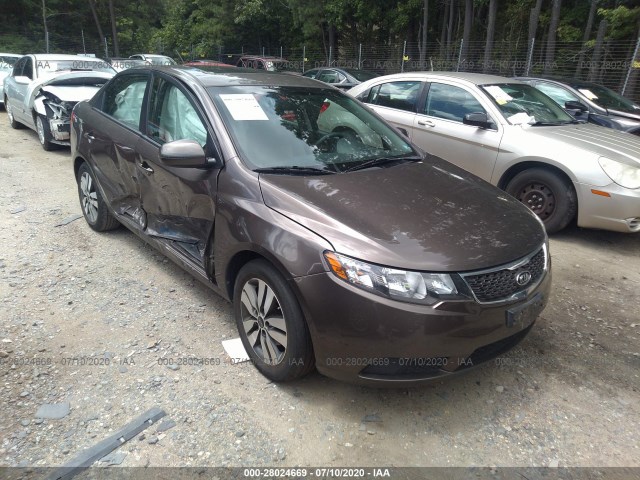 KIA FORTE 2013 knafu4a29d5721512