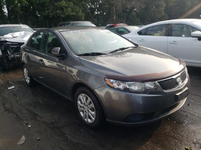 KIA FORTE EX 2013 knafu4a29d5721879