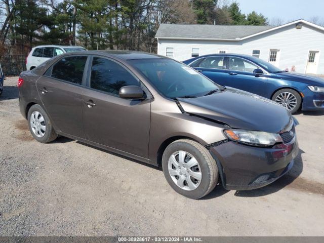 KIA FORTE 2013 knafu4a29d5727293