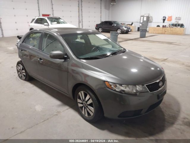 KIA FORTE 2013 knafu4a29d5728587