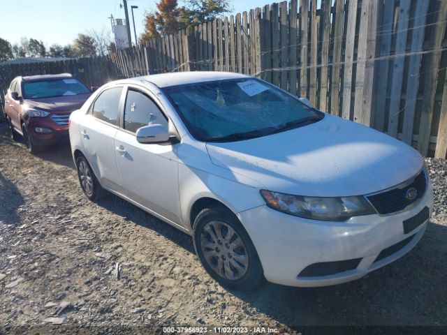 KIA FORTE 2013 knafu4a29d5728718