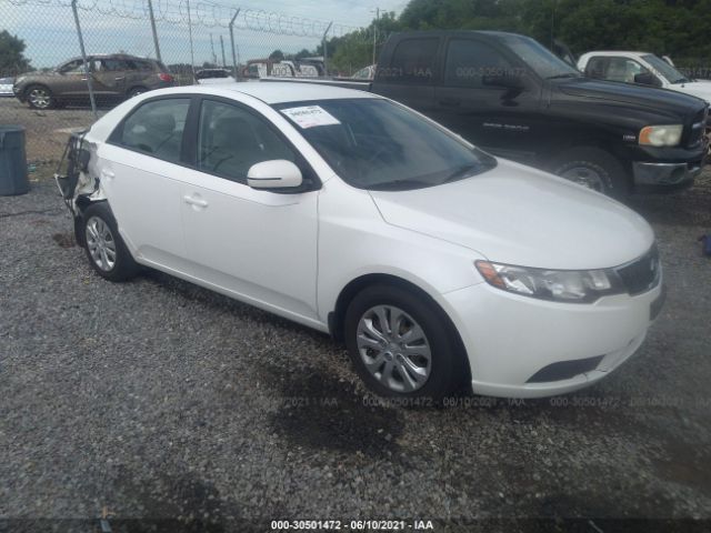 KIA FORTE 2013 knafu4a29d5729285