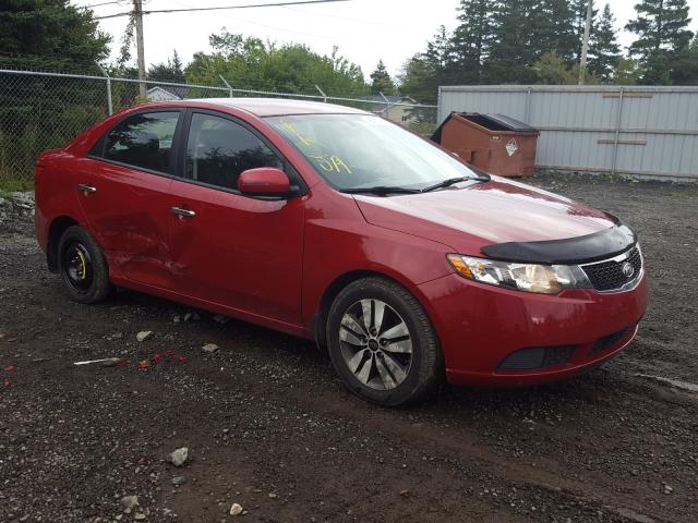 KIA FORTE EX 2013 knafu4a29d5730730