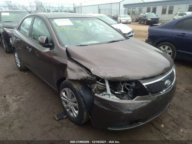 KIA FORTE 2013 knafu4a29d5731957