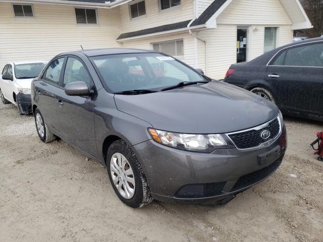 KIA FORTE EX 2013 knafu4a29d5734812