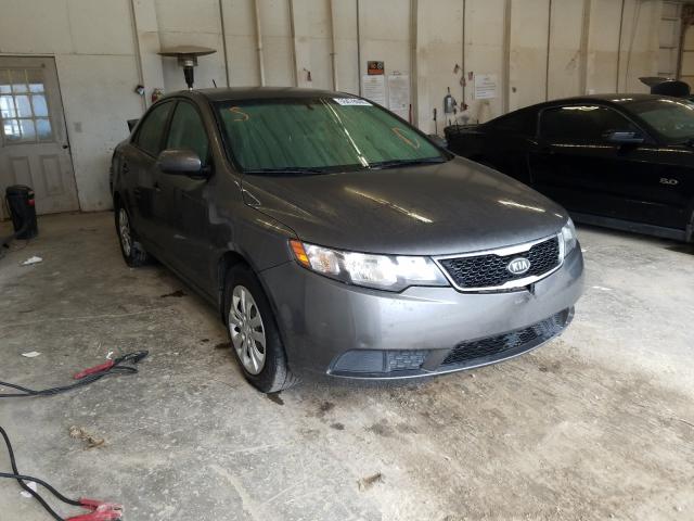 KIA FORTE EX 2013 knafu4a29d5735801