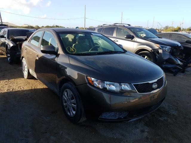 KIA FORTE 2013 knafu4a29d5736267