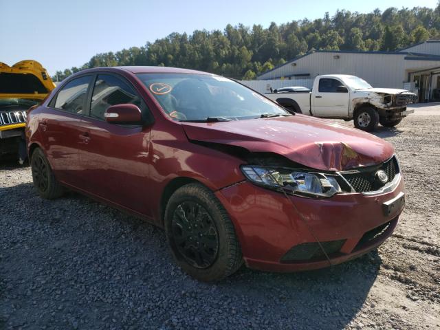 KIA FORTE EX 2010 knafu4a2xa5046734