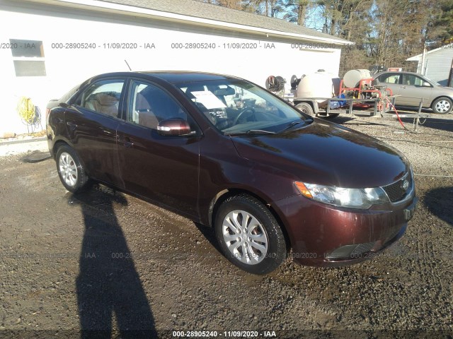 KIA FORTE 2010 knafu4a2xa5050217