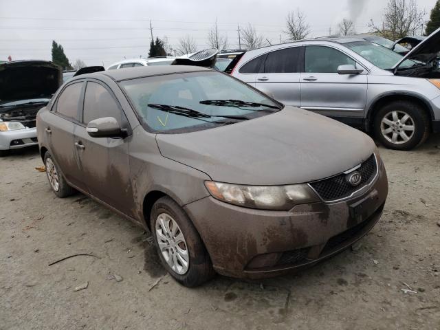 KIA FORTE EX 2010 knafu4a2xa5051299