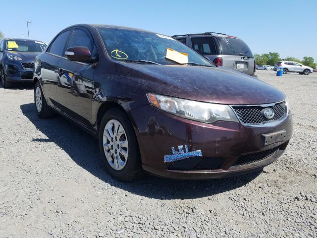 KIA FORTE EX 2010 knafu4a2xa5053103