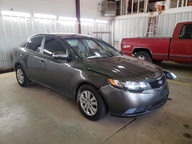 KIA FORTE EX 2010 knafu4a2xa5055949