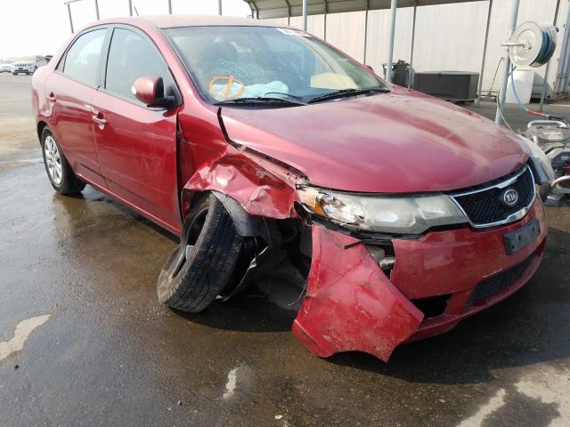 KIA FORTE EX 2010 knafu4a2xa5112683