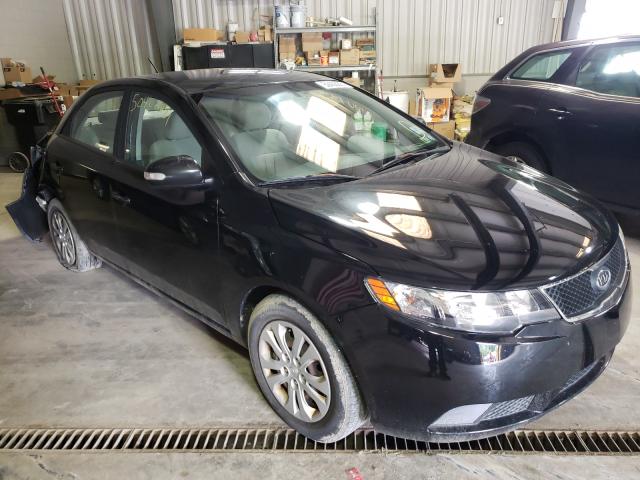 KIA FORTE EX 2010 knafu4a2xa5120394